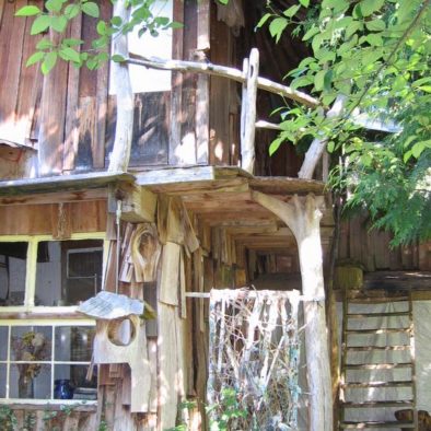 Entrance to the indoor tree house studio